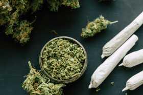 Wichtige Infos für Arbeitgeber – Was sich durch die Cannabis-Legalisierung ändert!