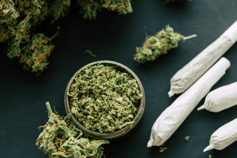 Wichtige Infos für Arbeitgeber – Was sich durch die Cannabis-Legalisierung ändert!